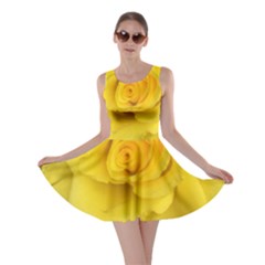 Yellow Rose Skater Dress by glendatartist