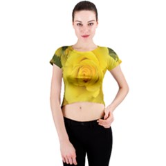 Yellow Rose Crew Neck Crop Top by glendatartist