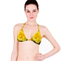 Yellow rose Bikini Top View1