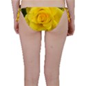 Yellow rose Bikini Bottom View2