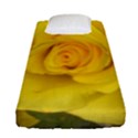 Yellow rose Fitted Sheet (Single Size) View1