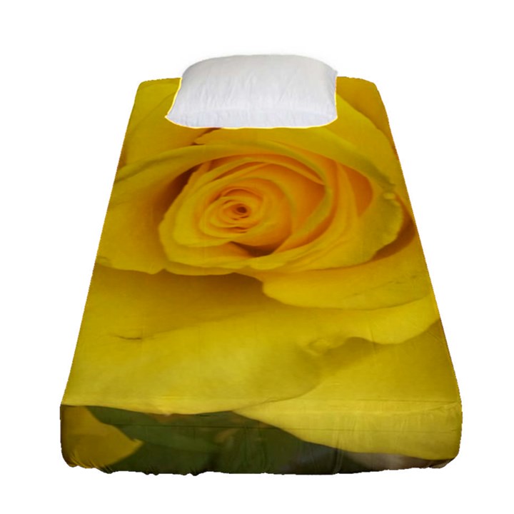 Yellow rose Fitted Sheet (Single Size)