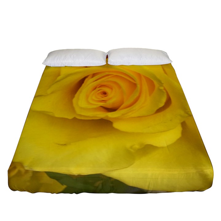 Yellow rose Fitted Sheet (Queen Size)