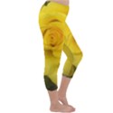 Yellow rose Capri Winter Leggings  View3