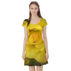 Yellow Rose Short Sleeve Skater Dress by glendatartist