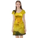 Yellow rose Short Sleeve Skater Dress View1