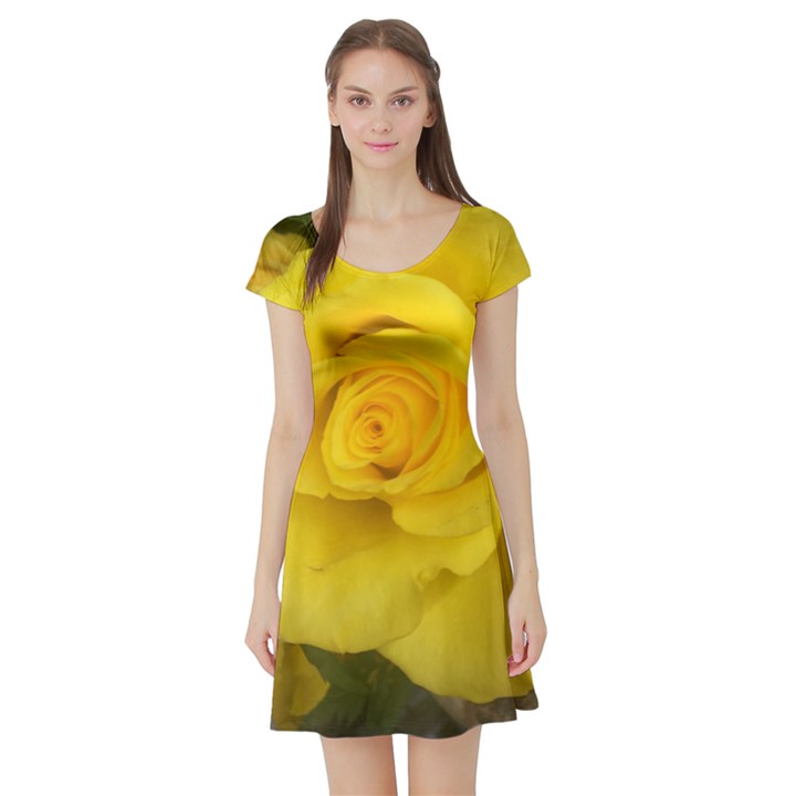 Yellow rose Short Sleeve Skater Dress