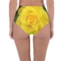 Yellow rose Reversible High-Waist Bikini Bottoms View2