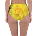 Yellow rose Reversible High-Waist Bikini Bottoms View4