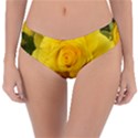 Yellow rose Reversible Classic Bikini Bottoms View1