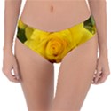 Yellow rose Reversible Classic Bikini Bottoms View3