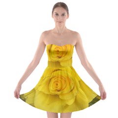 Yellow Rose Strapless Bra Top Dress by glendatartist