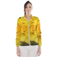 Yellow Rose Wind Breaker (women) by glendatartist