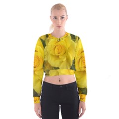 Yellow Rose Cropped Sweatshirt by glendatartist