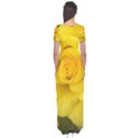 Yellow rose Short Sleeve Maxi Dress View2