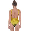 Yellow rose Bring Sexy Back Swimsuit View2