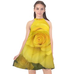 Yellow Rose Halter Neckline Chiffon Dress  by glendatartist