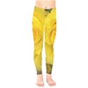 Yellow rose Kids  Legging View1