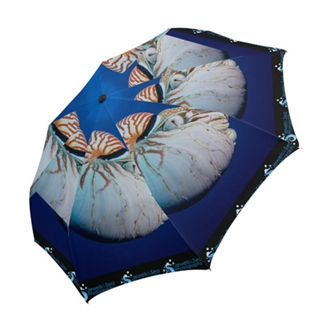 Folding Umbrella 