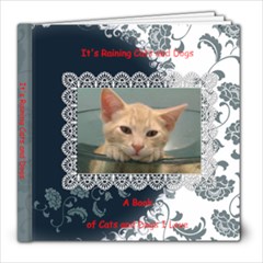 It s Raining Cats and Dogs - 8x8 Photo Book (20 pages)