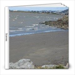 Scenes - 8x8 Photo Book (20 pages)