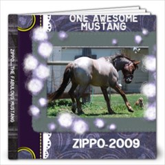 Zippo - 12x12 Photo Book (20 pages)