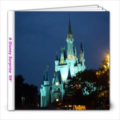 Disney World Album - 8x8 Photo Book (20 pages)