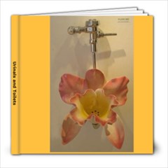 Urinals and Toilets - 8x8 Photo Book (20 pages)