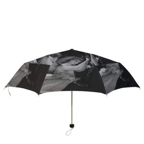 Folding Umbrella 