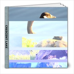 CRESENT LAKE GEESE - 8x8 Photo Book (39 pages)