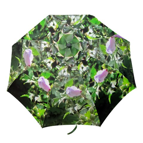 Folding Umbrella 