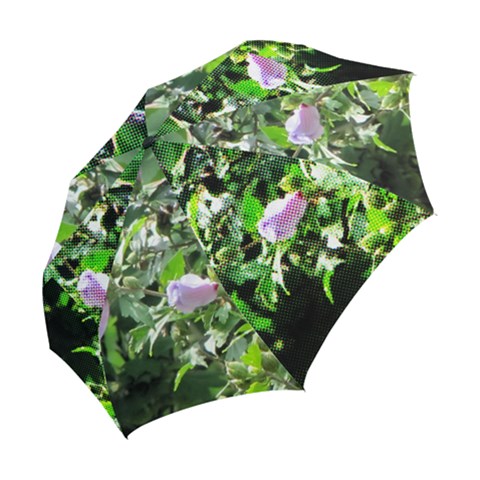 Folding Umbrella 