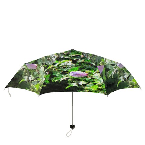 Folding Umbrella 