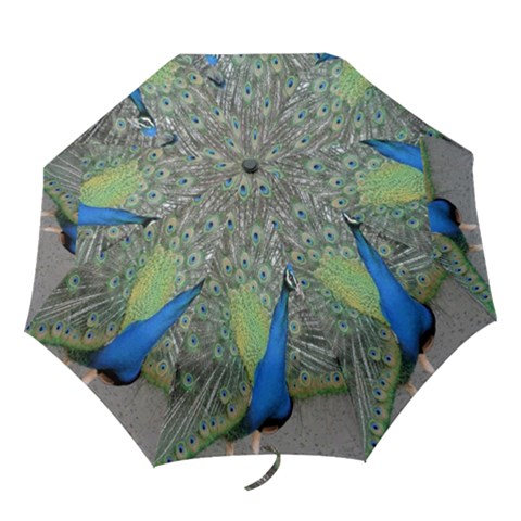 Folding Umbrella 