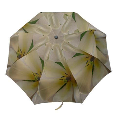 Folding Umbrella 