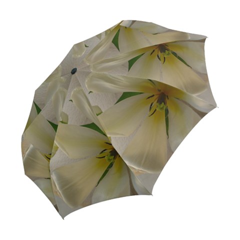 Folding Umbrella 