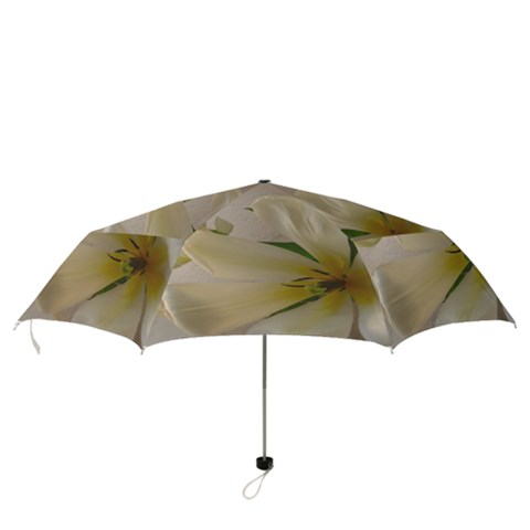 Folding Umbrella 