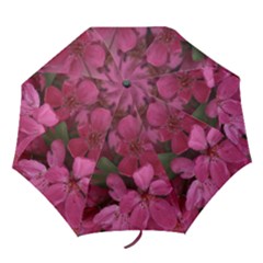 pink apple blossom16 umbrella - Folding Umbrella