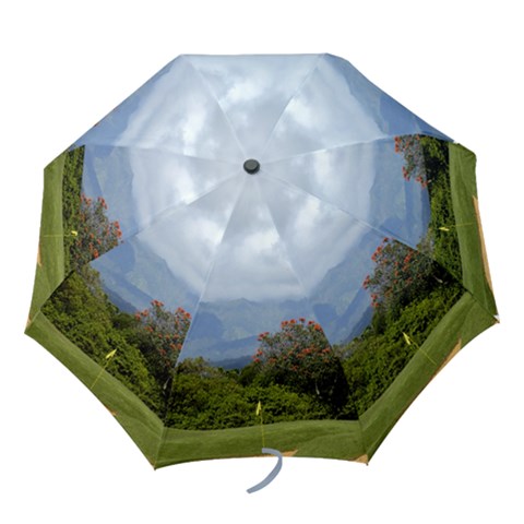 Folding Umbrella 