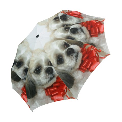 Folding Umbrella 