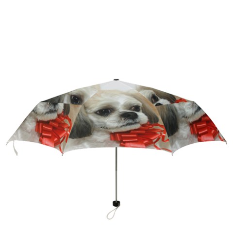 Folding Umbrella 