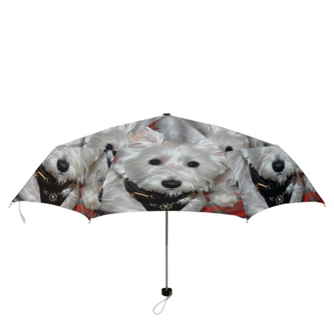 Folding Umbrella 