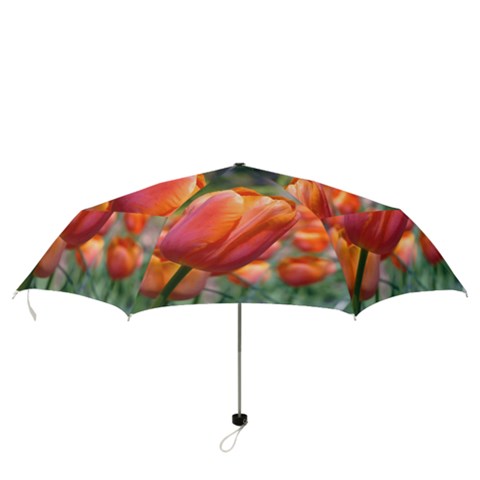 Folding Umbrella 