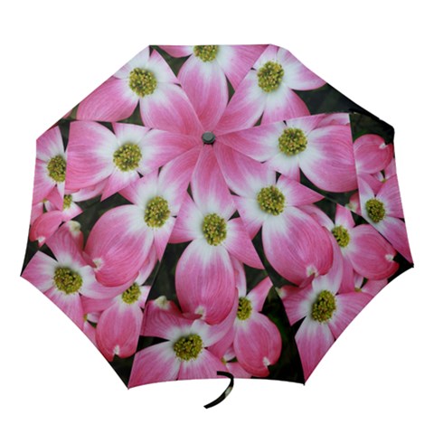 Folding Umbrella 