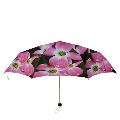 Folding Umbrella 