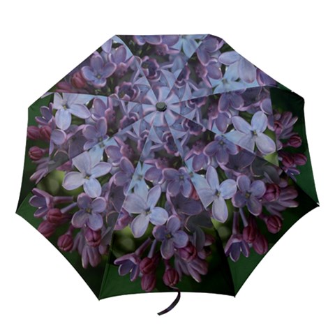 Folding Umbrella 