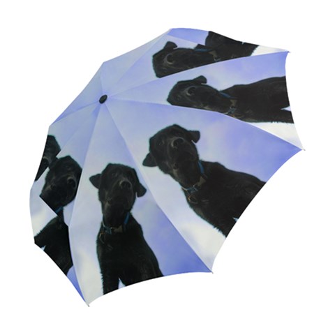 Folding Umbrella 