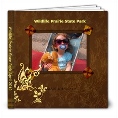 WPSP - 8x8 Photo Book (20 pages)