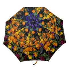 UMBRELLA - Folding Umbrella