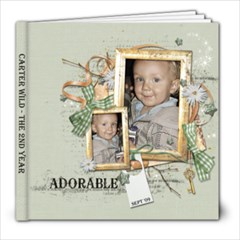 Carter Year2 Book 1 - 8x8 Photo Book (30 pages)